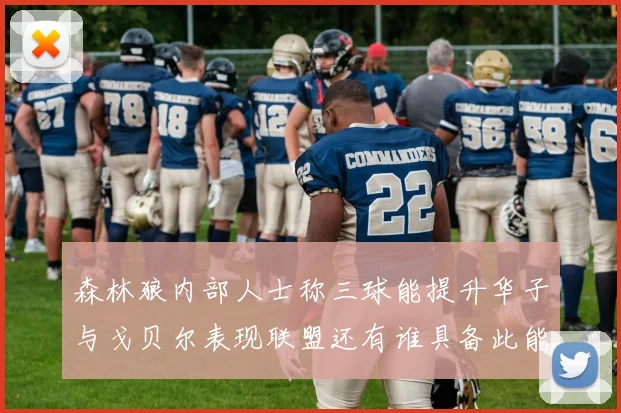 森林狼内部人士称三球能提升华子与戈贝尔表现联盟还有谁具备此能力